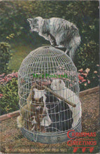 Load image into Gallery viewer, Animals Postcard - Cats Inside a Bird Cage
