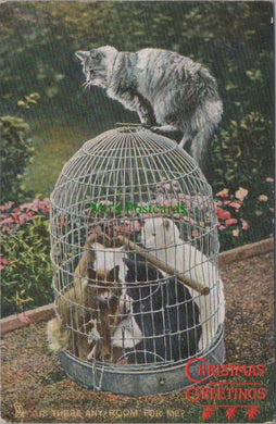 Animals Postcard - Cats Inside a Bird Cage