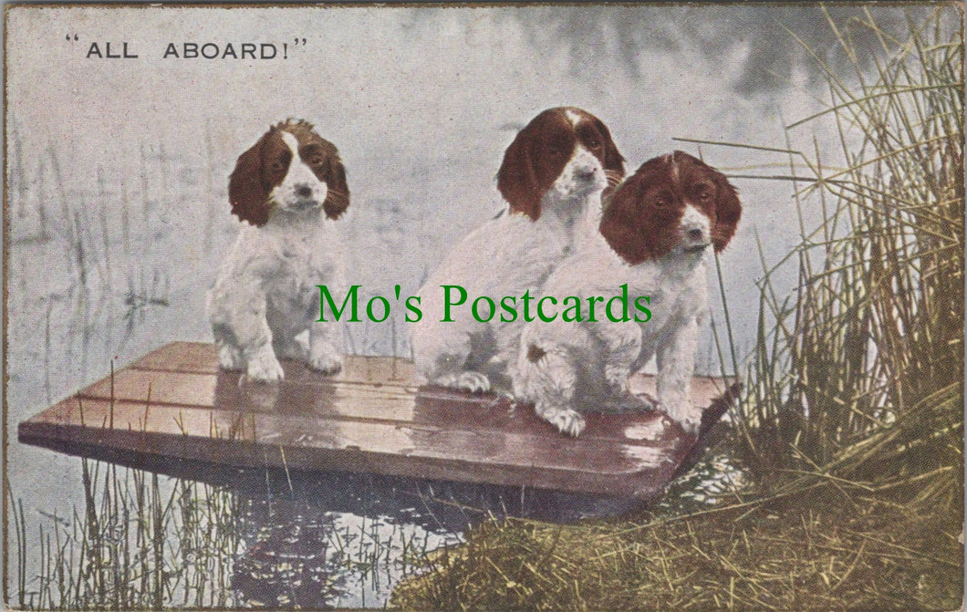 Animals Postcard - Dogs - Three Puppies