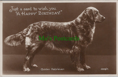 Animals Postcard - Dogs - Golden Retriever