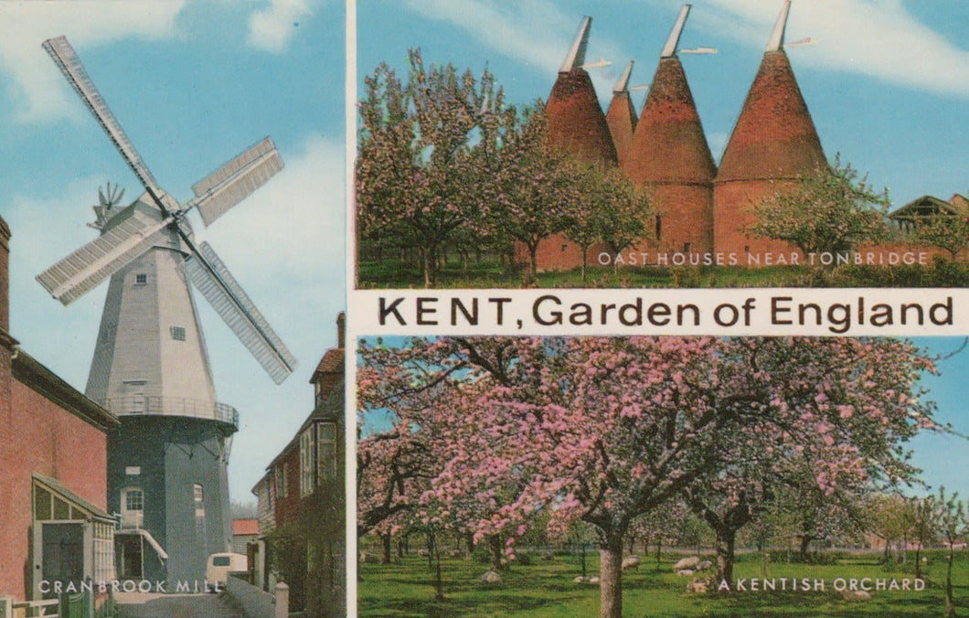 Kent Postcard - Views of The Garden of England - Cranbrook Mill, Oast Houses & Kentish Orchard - Mo’s Postcards 