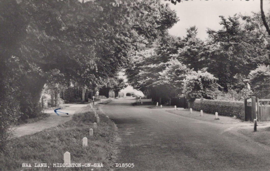 Sussex Postcard - Sea Lane, Middleton-On-Sea, 1967 - Mo’s Postcards 