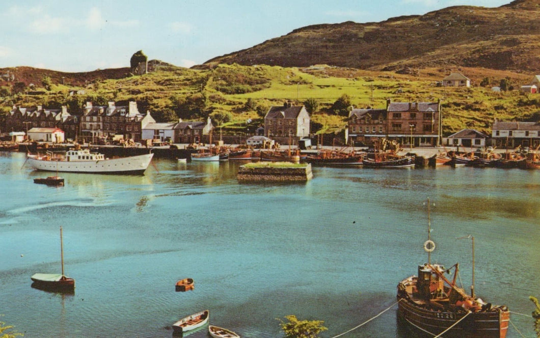 Scotland Postcard - The Harbour, Tarbert - Mo’s Postcards 