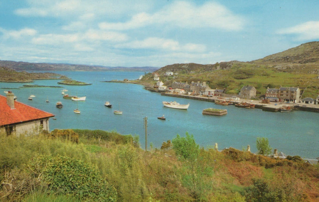 Scotland Postcard - Tarbert Harbour - Mo’s Postcards 