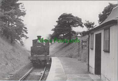 Engine No 30236 With a Train For Bodmin North