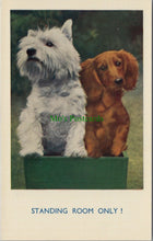 Load image into Gallery viewer, Dogs Postcard - White West Highland Terrier
