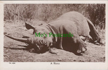 Load image into Gallery viewer, Animals Postcard - A Rhino in Kenya
