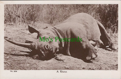Animals Postcard - A Rhino in Kenya