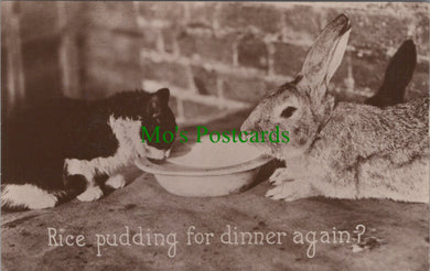 Cat and Rabbit Eating Rice Pudding