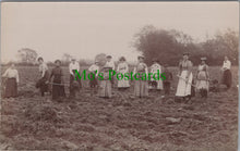 Load image into Gallery viewer, Agricultural Workers in a Field, Mendlesham, Suffolk
