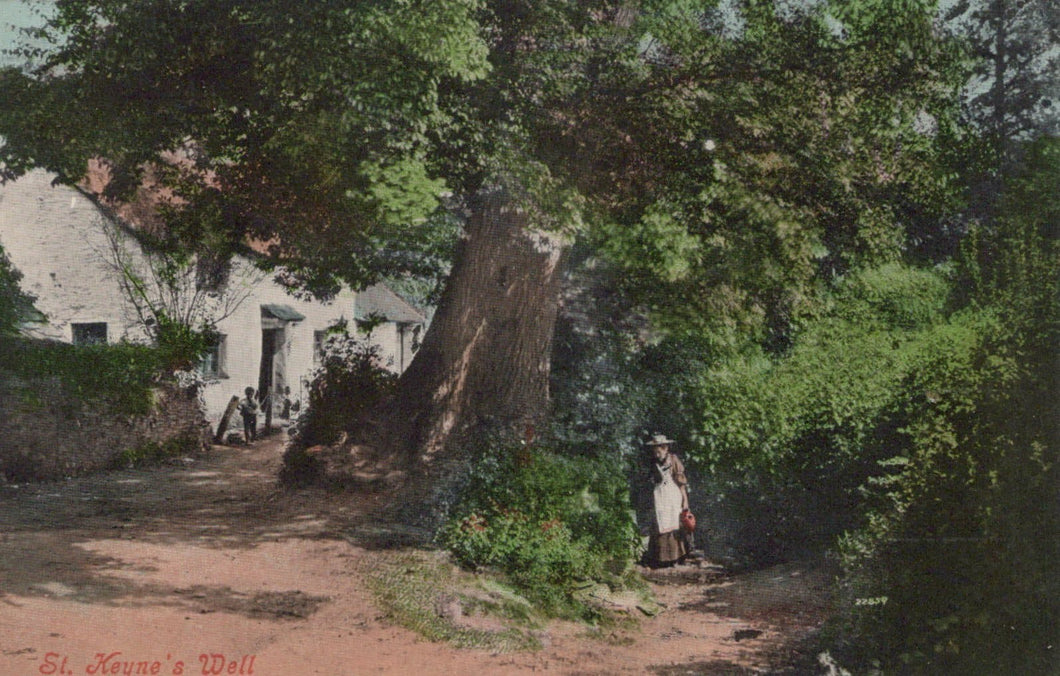 Cornwall Postcard - St Keyne's Well - Mo’s Postcards 