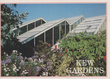 Load image into Gallery viewer, London Postcard - Kew Gardens - The Princess of Wales Conservatory - Mo’s Postcards 
