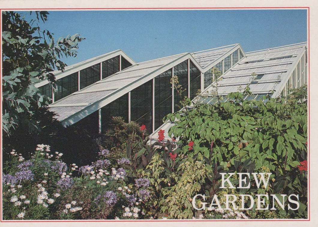 London Postcard - Kew Gardens - The Princess of Wales Conservatory - Mo’s Postcards 