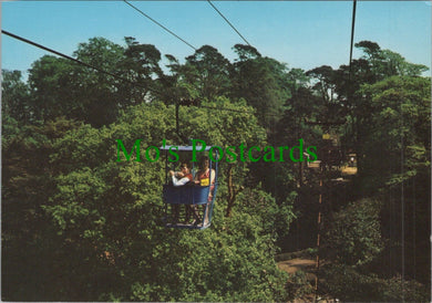 Aerial Cable Cars, Alton Towers, Staffordshire