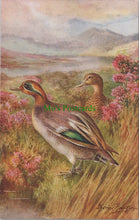 Load image into Gallery viewer, Birds Postcard - Teal Ducks 
