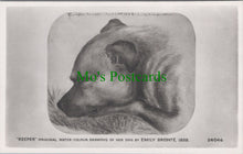 Load image into Gallery viewer, Dogs Postcard - Emily Bronte&#39;s Dog, 1838
