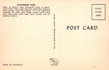 Load image into Gallery viewer, America Postcard - Mushroom Park, West of Salina, Nr Kanopolis Dam - Greetings From Kansas - Mo’s Postcards 
