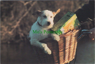 Dog Postcard - Scamp The Terrier