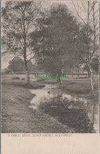 Load image into Gallery viewer, A Forest Brook, Silver Birches, New Forest
