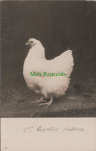 Load image into Gallery viewer, Birds Postcard - 2nd Prize Chicken at Crystal Palace
