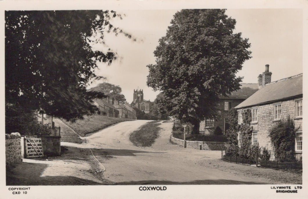 Yorkshire Postcard - Coxwold Village - Mo’s Postcards 