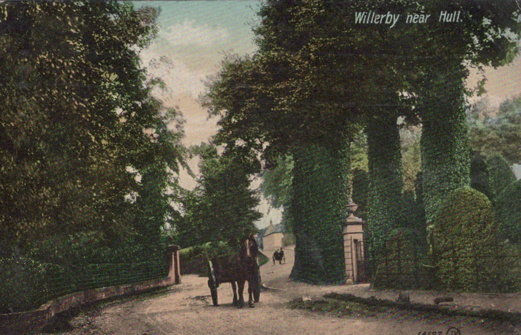 Yorkshire Postcard - Willerby Near Hull - Mo’s Postcards 
