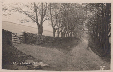 Yorkshire Postcard - Cherry Avenue, Ankness - Mo’s Postcards 