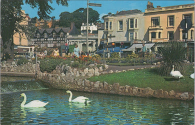 The Gardens, Dawlish, Devon