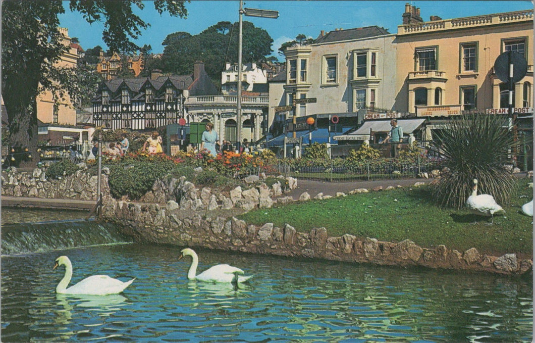 The Gardens, Dawlish, Devon