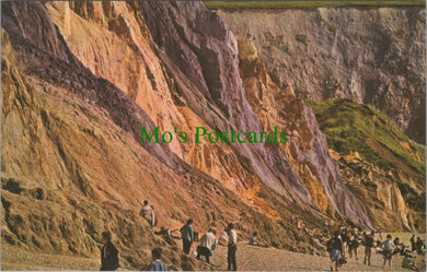 The Coloured Cliffs, Alum Bay