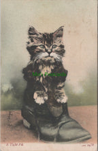 Load image into Gallery viewer, Animals Postcard - A Cat Sat in a Boot
