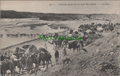 Caravane En Marche Du Caid Ben Ganah, Algeria