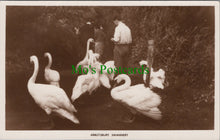 Load image into Gallery viewer, Abbotsbury Swannery, Weymouth
