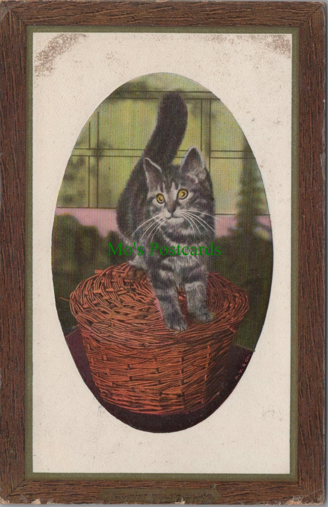Animals Postcard - Cat on a Basket