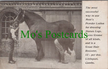 Load image into Gallery viewer, Advertising Postcard - Mott&#39;s Equine Treatment

