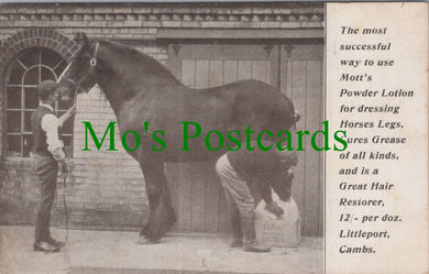 Advertising Postcard - Mott's Equine Treatment