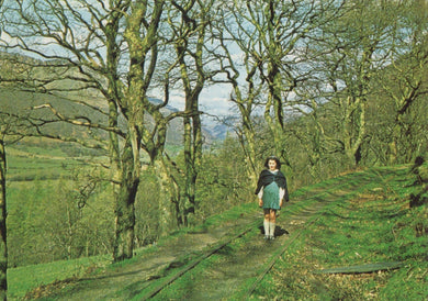Wales Postcard -  Old Track To Slate Quarry - Young Girl on The Track - Mo’s Postcards 