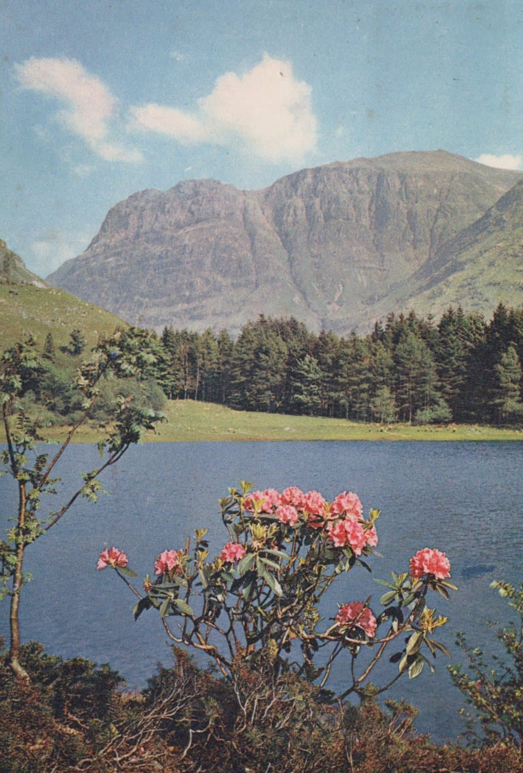 Scotland Postcard - Stob Coire Nan Lochan, From Torren Lochan, Nr Clachaig, Glencoe - Mo’s Postcards 