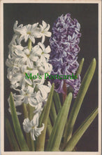 Load image into Gallery viewer, Flowers Postcard - Hyacinth
