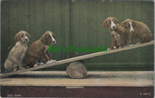 Load image into Gallery viewer, Animals Postcard - Dogs on a See-Saw
