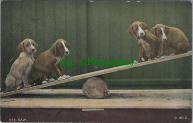 Animals Postcard - Dogs on a See-Saw