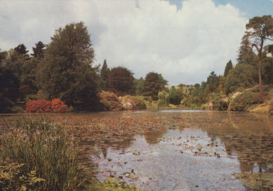 Sussex Postcard - Lake at Sheffield Park Gardens - Mo’s Postcards 