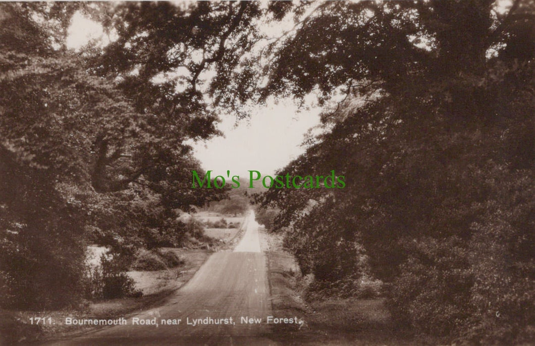 Hampshire Postcard - Bournemouth Road, Near Lyndhurst, New Forest - Mo’s Postcards 