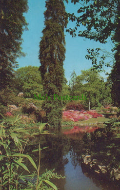 Hampshire Postcard - Middle Pond, Exbury Gardens - Mo’s Postcards 