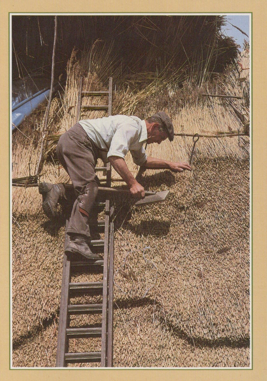 Traditional Crafts Postcard - Thatcher Working on a Thatched Roof - Mo’s Postcards 