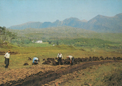 Scotland Postcard - Peat Workings Below Quinog, Sutherland - Mo’s Postcards 