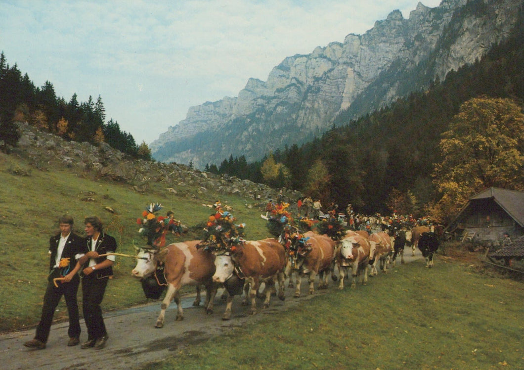 Switzerland Postcard - Gron (Sigriswil Beatenberg) Alpabfahrt Vom Justistal - Mo’s Postcards 