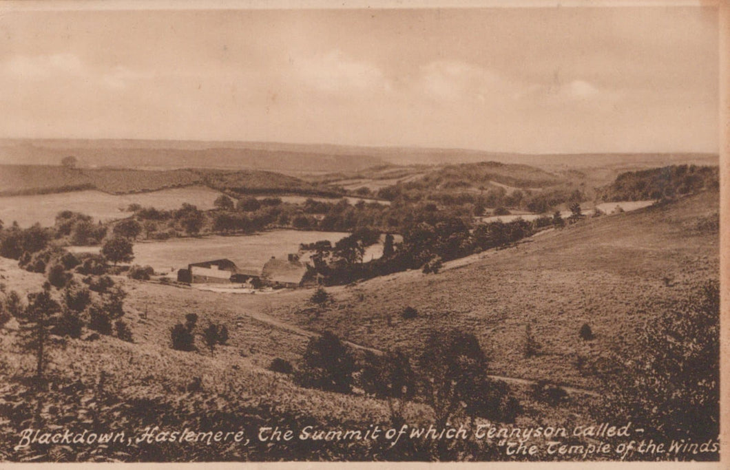 Surrey Postcard - Blackdown, Haslemere - Mo’s Postcards 