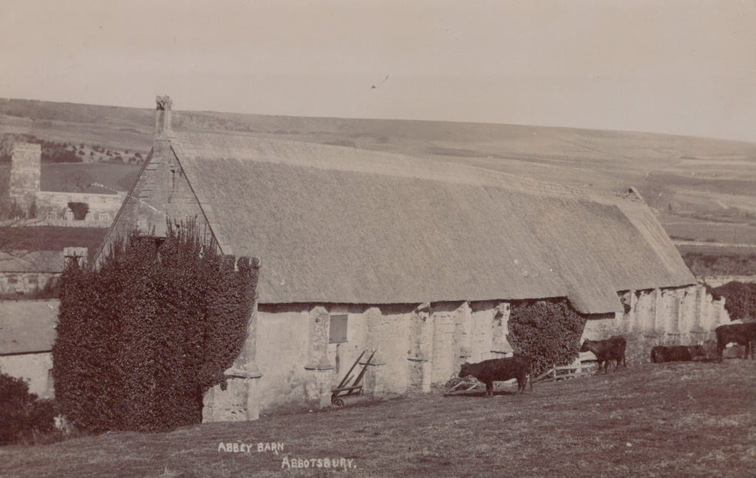 Dorset Postcard - Abbey Barn, Abbotsbury - Mo’s Postcards 