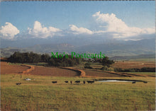 Load image into Gallery viewer, Drakensberg Foothills, South Africa
